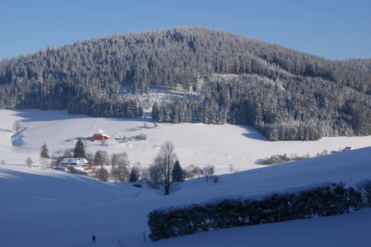 Zur Traube Schwarzwaldhotel & Restaurant Am Titisee Занкт-Мерген Екстер'єр фото