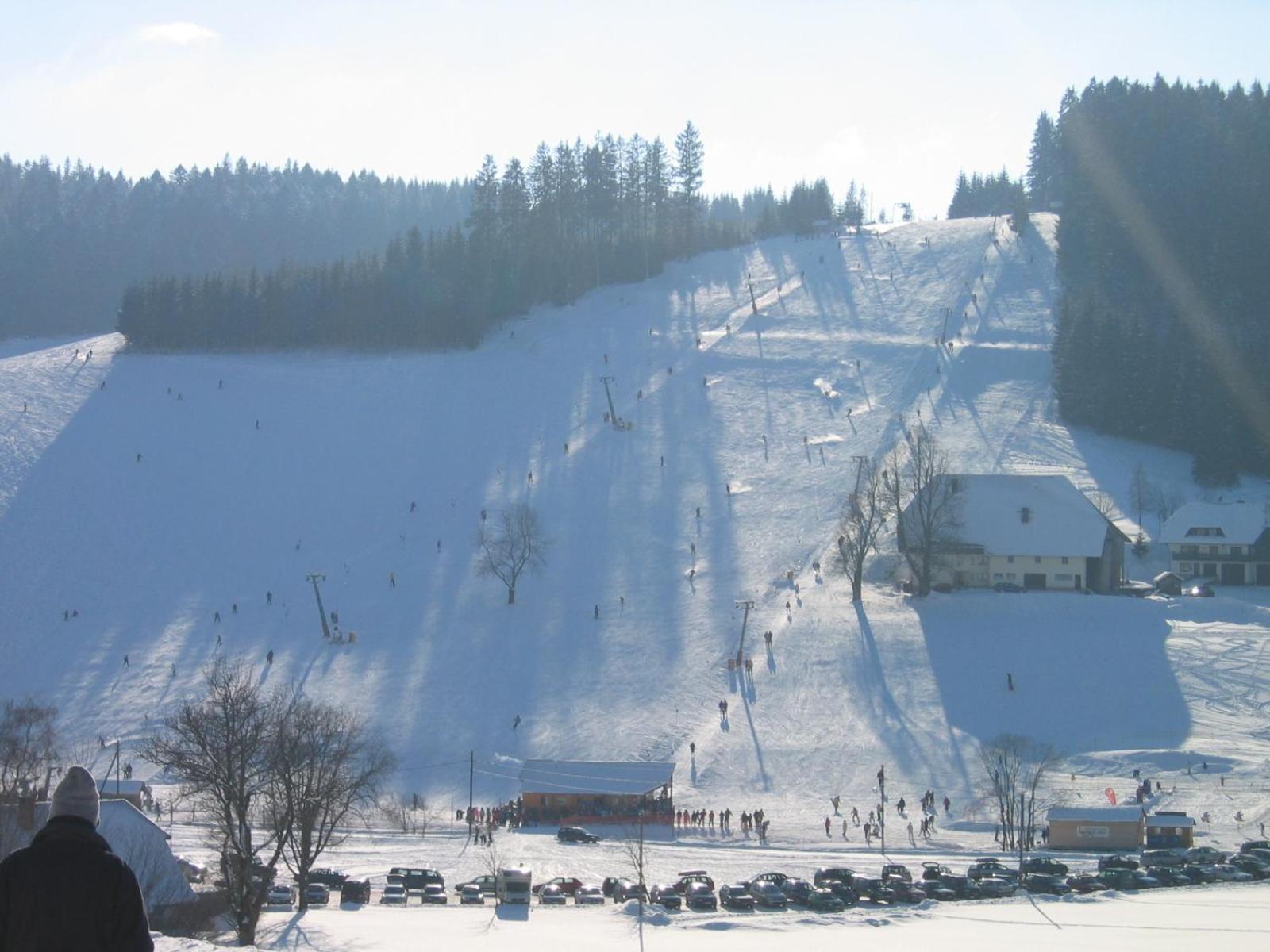 Zur Traube Schwarzwaldhotel & Restaurant Am Titisee Занкт-Мерген Екстер'єр фото